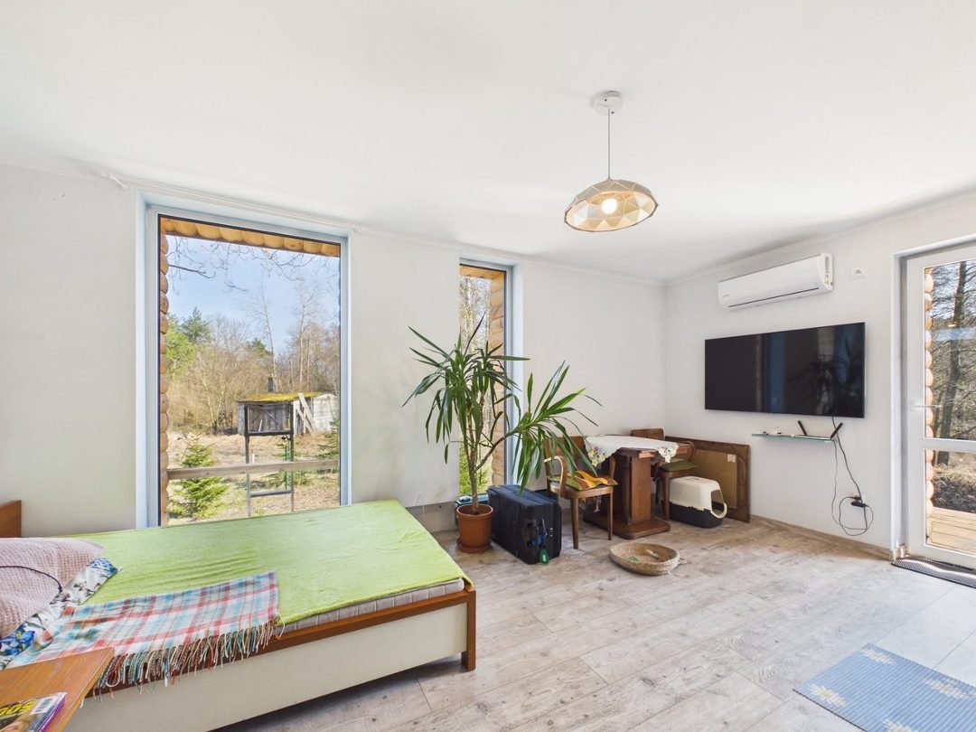 image4 (2)